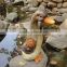 Motion sensor garden decoration bath duck statue products