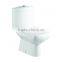 Ceramic Washdown Chinese Two Piece WC Toilet