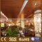 New decorative Eco-Wood composite ceiling