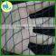 HDPE agricultural garden bird netting made in china