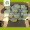 wholesale fresh potato wholesale 10kg carton