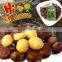 Wholesale Frozen Peeled Chestnuts---IQF chestnuts for sales