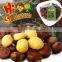 Organic snack ready to eat chestnuts--KOSHER and HALAL Snacks