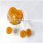 New Crop Canned Apricot Halves in Syrup at factory price