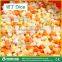 FC-312 Hot Sale Vegetable Cutting Machine/Vegetable and Fruit Cutting Processing Machine