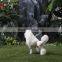 garden decorations christmas ornaments stuffed animals