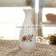 fashion small flower pot beautfiful home decoration