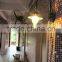 family size biogas lamp