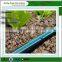 T-Tape drip irrigation system
