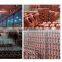 High quality SWL series worm screw lifter elevator gear screw lifter