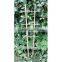 WY-142 Factory direct cheap flexiable Bamboo Trellis for garden