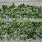 hot sale in China long life plastic boxwood mat with plastic net