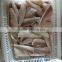 frozen red gurnard fillets skin on/off frozen food seafood