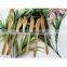 Nature Bamboo Carbonized Fruits Knives And Forks