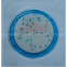 Coliform detecting board