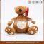 Custom Plush Stuffed Animal Teddy Bear Soft Toys