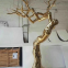 Customizable Large Outdoor or Indoor Golden Tree Stainless Steel Sculpture