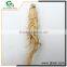 low cost high quality china ginseng extract powder