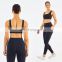 Gym Activewear Sexy Sports Bra Crop Top Outfits Women Gym Fitness Sets Tights Leggings