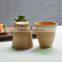 Simple small hemlock wooden cup, coffee cup, tea cup,Eco-friendly wood cups,wood water cup