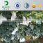 Paper Bag Fruit Protection, Fruit Cultivation Bag, Apple Bag