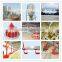 Full Set Automatic Equipment for Broiler Poultry House