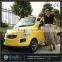New Small Family Electric Car