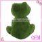 OEM Design good Selling Plush Frog