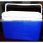 MIZI hot selling 8L cooler box ice boxes warmer and cooler box