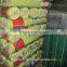 1/4 inch PVC coated welded wire mesh