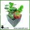 Small Mini Artificial Potted Plant Bonsai Succulents Garden for Wholeselling