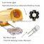 Asia Leader Multiple Lighting Mode Front Illumination Light and 180 Degree Red Tail Light Bike Helmet Light