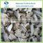 Chinese Frozen Oyster Mushroom Chunk 2-4cm