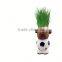 Advertising Gifts Small Plant Pot Indoor Planter Mini Flower