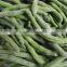 hot sale Frozen IQF green beans with high quality
