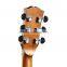 matt finish full size solid spruce acoustic guitar