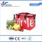 Large Capacity Lunch Bag Duffle Insulated BAG Picni cooler bag