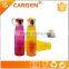 BPA free durable frosted fruit infuser water bottle