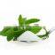 Factory directly sweetener RA90% stevia extract powder