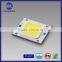 Cob Led Encapsulation White Color 6500K 60W Led Module White Color Led Chip Diodes