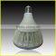 Waterproof 20W LED PAR38 focus lighting