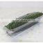 1kg Capacity Disposable Clear Plastic Packaging Box for Cucumber