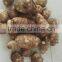 vegetable market price taro root