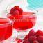food additive Gelatin