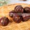 Chinese organic roasted chestnuts, snack foods
