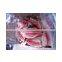 Frozen Fish Tilapia Fillet Boneless Skinless