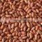 chinese hot selling split blanched peanut kernel