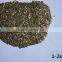 High Qulity Lightweight Crude Raw Vermiculite for Concrete and Insulation