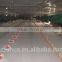 feeding line for poultry