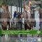 High quality cattle slaughter equipment for slaughterhouse in Cambodia market